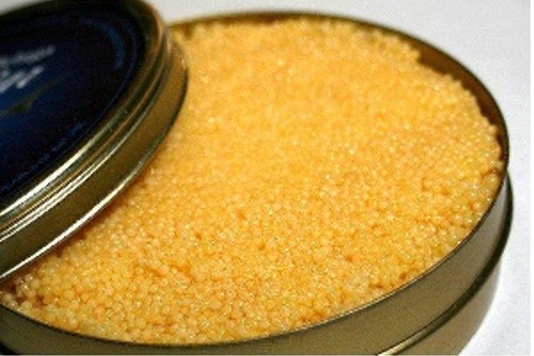 What is the Most Expensive Food in the World: Alma’s Caviar
